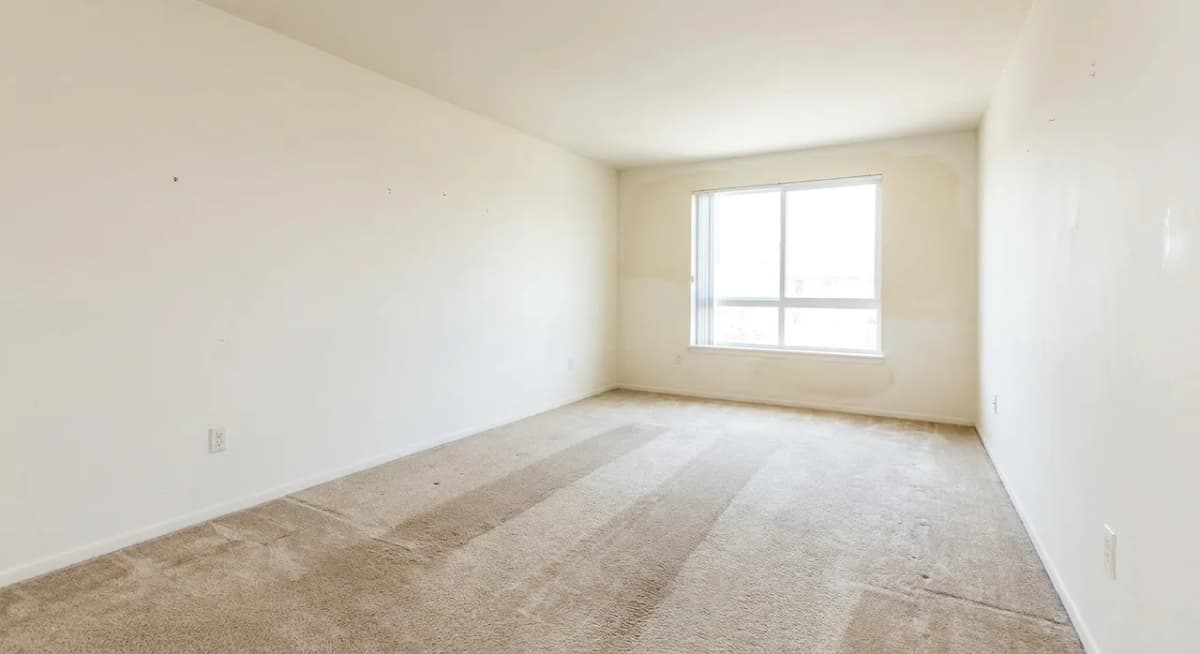 An empty rental living room in good condition showing normal wear: worn carpet traffic paths and lightly scuffed walls
