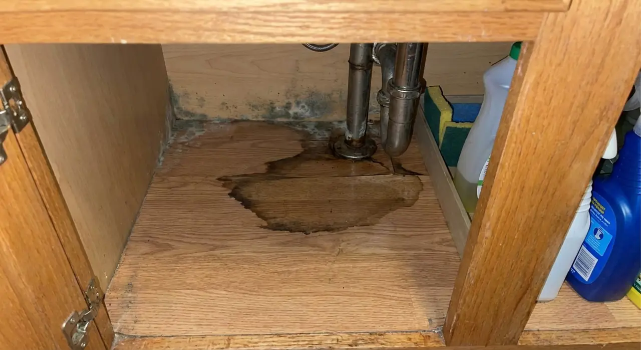 A slow under-sink leak caught early is a cheap fix; left until move-out it is rot and a dispute The inside of a kitchen base cabinet under a sink showing a dark water stain and mildew from a slow plumbing leak